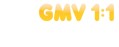 GMV 1:1 Technology