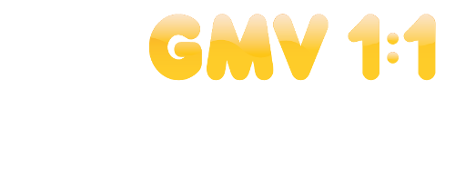 GMV 1:1 Technology